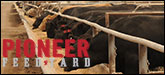 Pioneer Feedyards LLC Sponsorship Banner